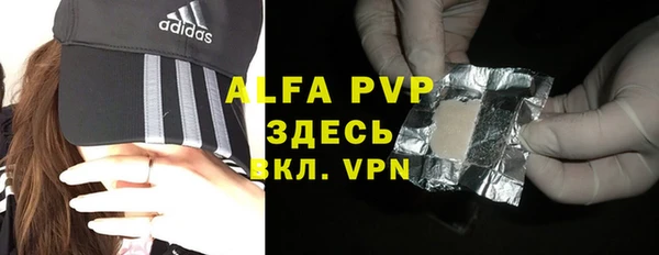 прущие грибы Бабаево